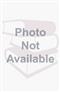 Audiology and Communication Disorders: An Overview. Text with Internet Access Code for thePoint and CD-ROM for Macintosh and Windows Cover Image